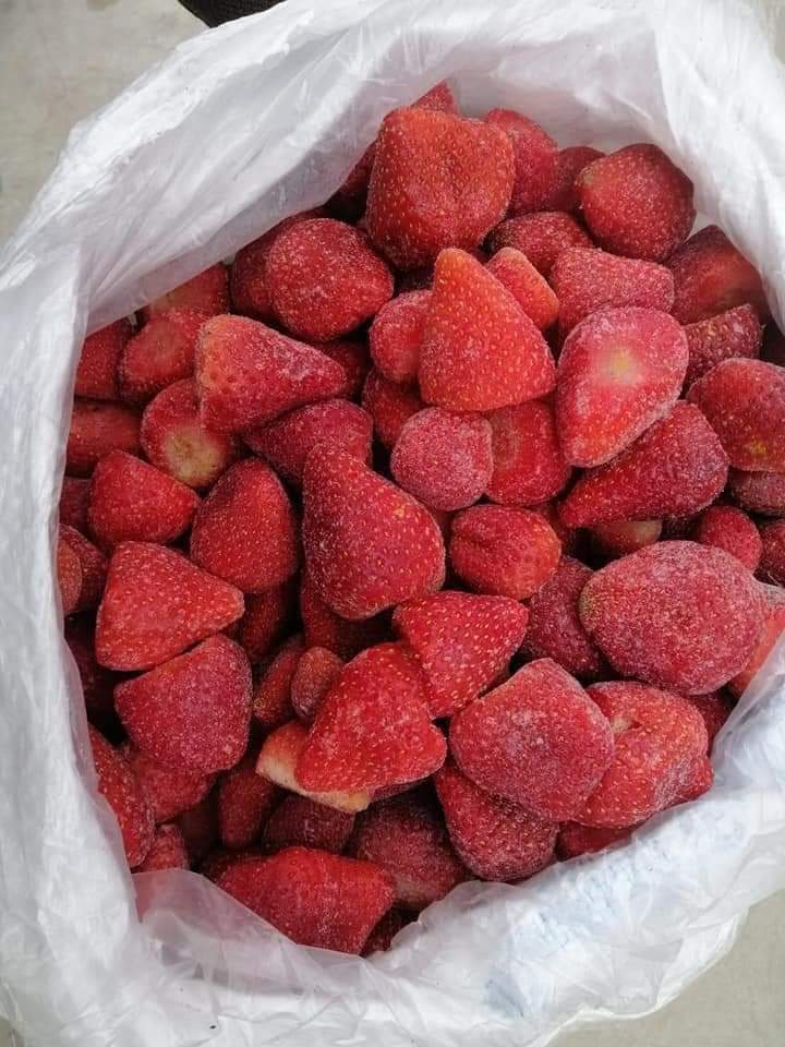 فراوله فودكس 1000 كجم - الصورة 4