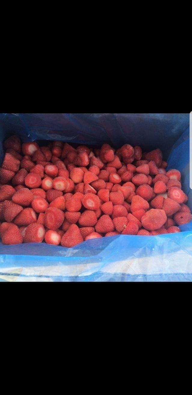 فراوله فودكس 1000 كجم - الصورة 2