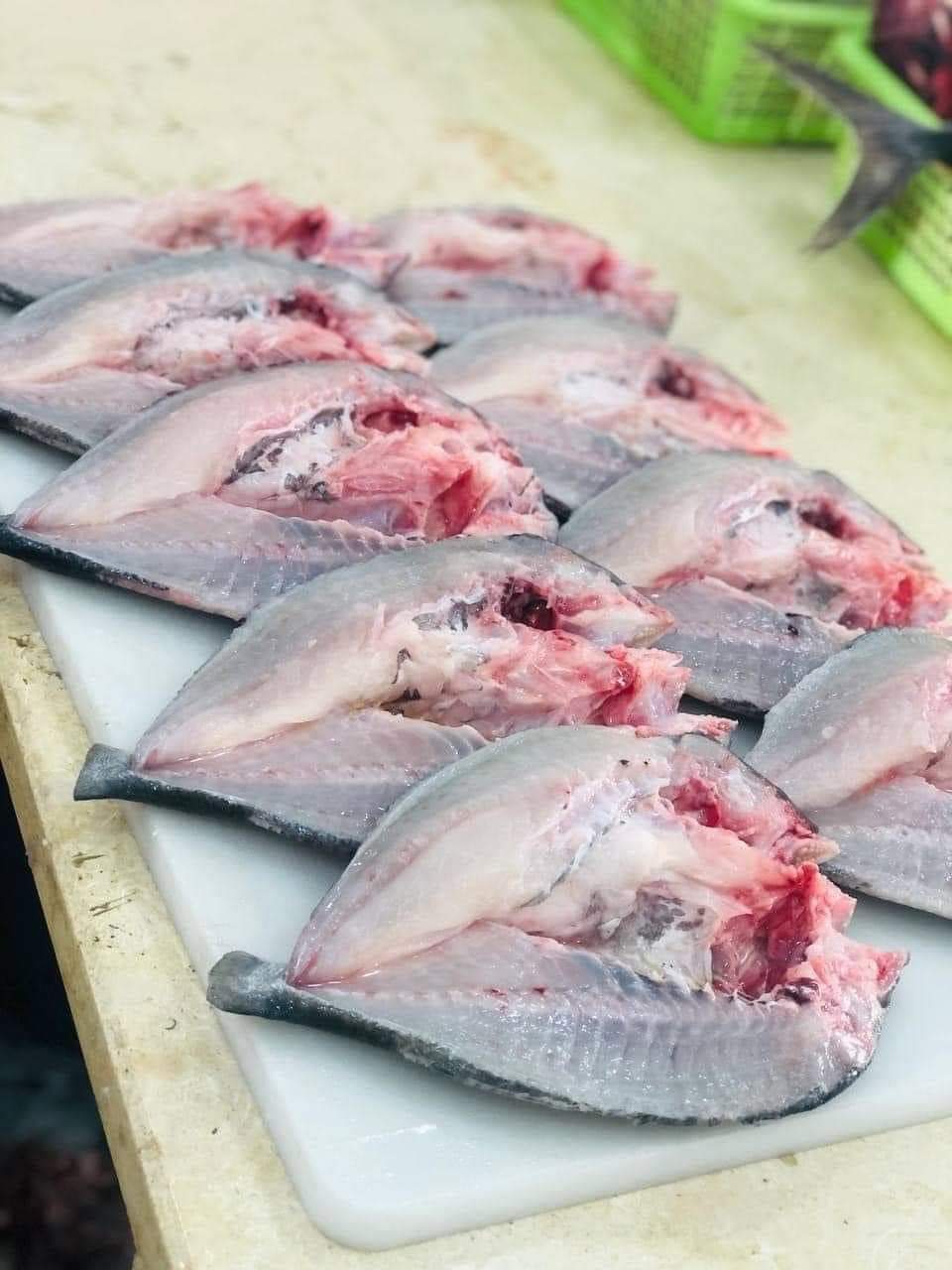 سمك قاجوج 10 كجم - الصورة 6