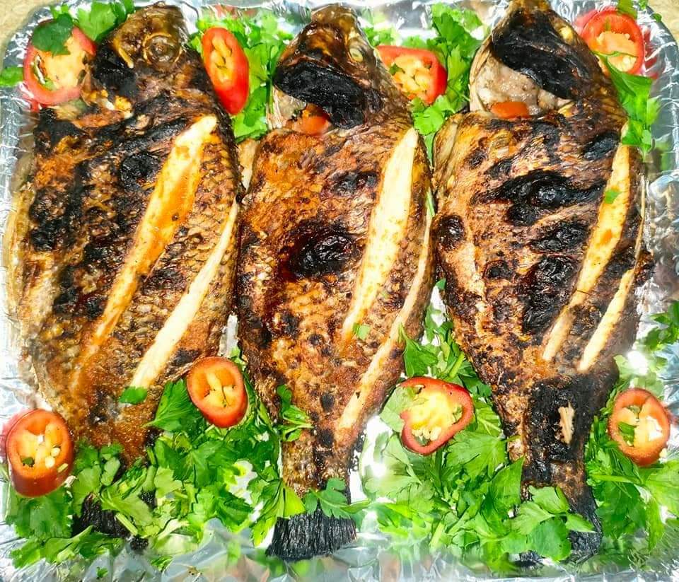 سمك قاجوج 10 كجم - الصورة 4