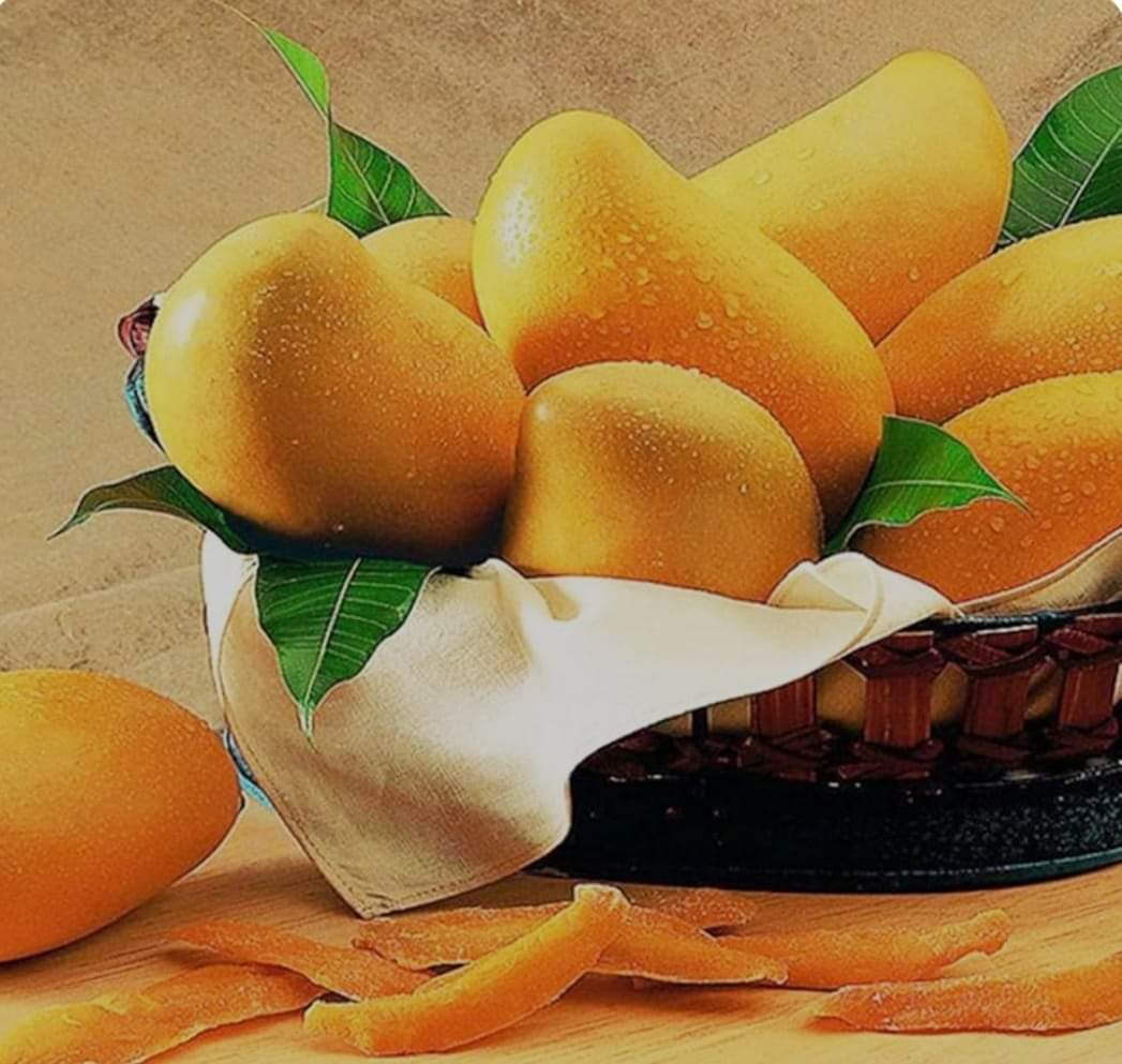 مانجا فودكس 1000 كجم - الصورة 3