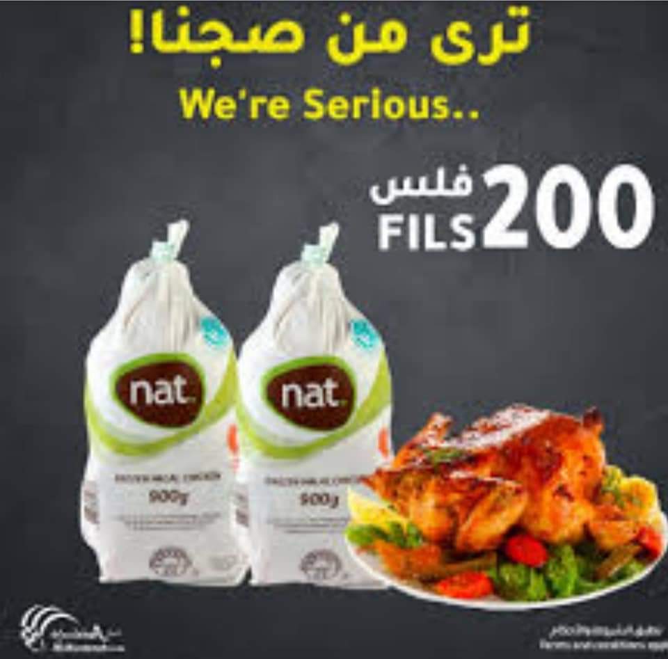 دجاج برازيلي 1100 كجم - الصورة 5