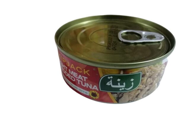 تن زينه